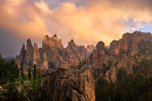 Black Hills - Travel Size Spray Bottle - 15ml