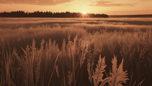 Buffalo Roam - Extrait de Parfum - 100ml / 3.4 oz - Spray Bottle